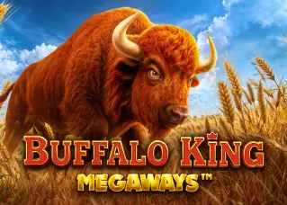 megaone Buffalo King Megaways ทดลองเล่นฟรี